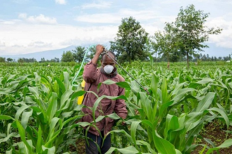 Les ZAAP, une innovation pour le développement du monde rural au Togo