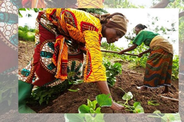 Un Forum régional sur l’agroécologie et l’agriculture biologique