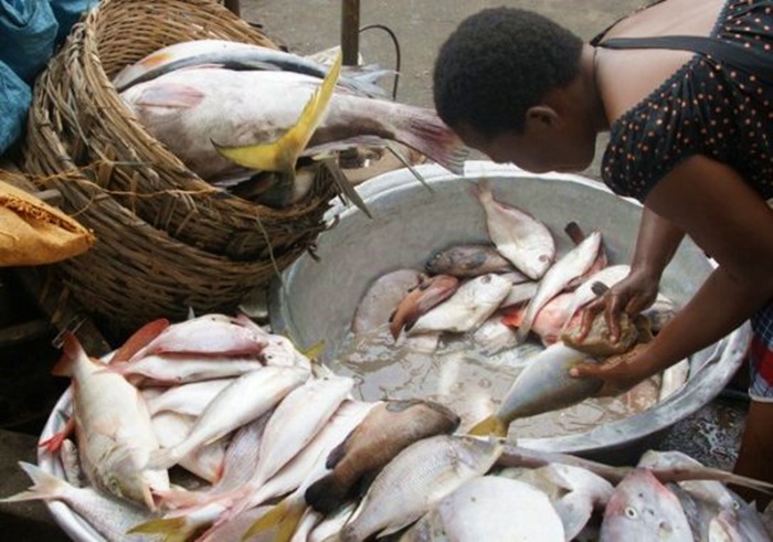 Quand la pisciculture surplante la pêche