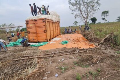 Campagne cotonnière 2024-2025 au Togo